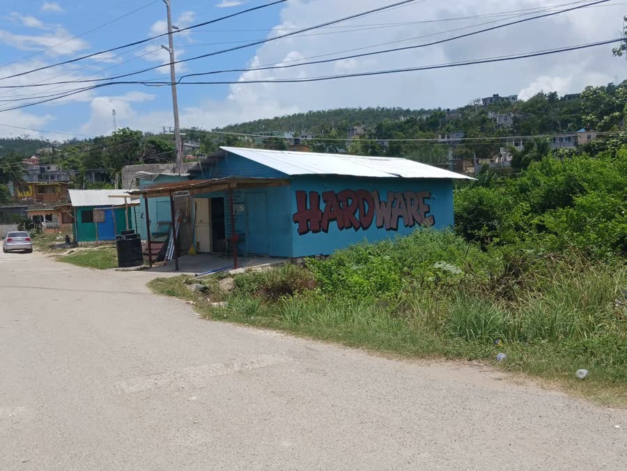 The blue hardware building seen from the lane